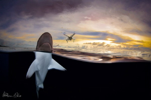   Was Jaws where ate Helicopter layered this mainly because refraction waterline body didnt line nicely but little Gin made drone sound fun. untouched version overunder category.. fun over/under under category  